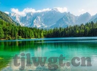 搬ying家大象传媒-搬ying家大象传媒，一场创意与效率的双重升级