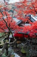 大象传媒集团-大象传媒集团，重塑媒体生态的领航者