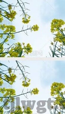 大象视频怎么安装不了-为什么大象视频无法安装，问题分析与解决指南