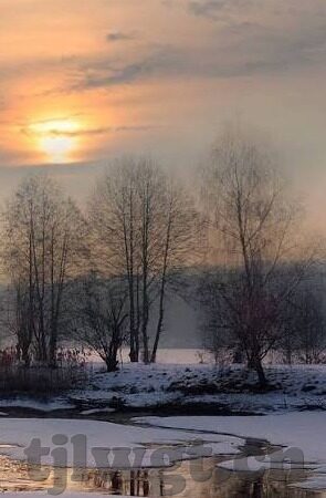 国产麻豆淑女原创av-国产麻豆淑女原创AV，冷静观照网络文化的多样性