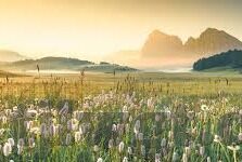 麻豆app免费兑换码-麻豆APP免费兑换码，数字化生活的时尚新选择与实惠体验