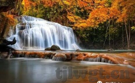 麻豆av经典-麻豆iAV，解码经典背后的人文与情感的交织