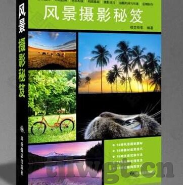善良的小姨子伦理片-善良小姨子的温暖篇章