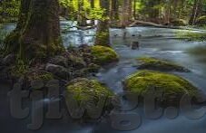 糖心app官网入口-恪守行业规范，共建绿色网络空间——面对糖心App的理性思考