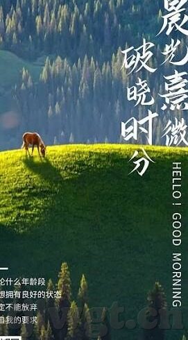 糖心VLOG下载汅appios-生活记录·全新观影体验，解锁糖心VLOG的精彩瞬间