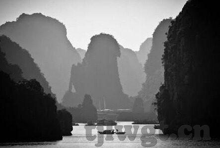 午夜理论麻豆av最新-深度探索，娱乐与艺术界限